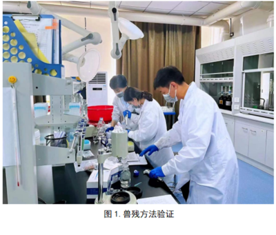 兴安盟农畜产品质量安全检验检测中心启动33项兽药残留扩项及室内环境检测工作