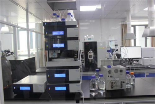 琪谱检测 襄阳专业食品检测服务与高清实景展示