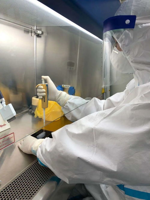 泸西县医院24小时新冠病毒核酸检测服务全流程指南